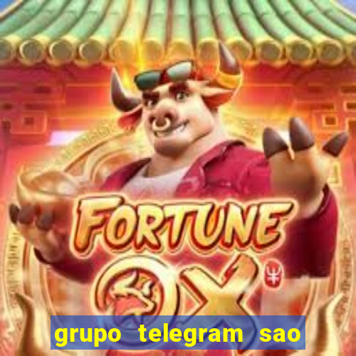 grupo telegram sao jose do rio preto